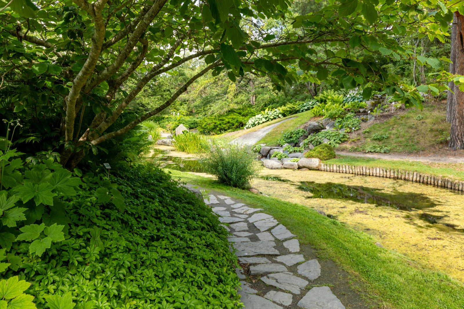 Chodníky a Dlažba: DIY Sprievodca Pokládkou Zámkovej Dlažby [2026]